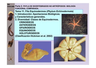 Tema 11. Filo Equinodermos (Phylum Echinodermata)
1. Introducción: Aportaciones Biológicas.
y Características generales.
2. Diversidad: Clases de Equinodermos.
CRINOIDEOS
ASTEROIDEOS
OFIUROIDEOS
EQUINOIDEOS
HOLOTUROIDEOS
Parte 2. PHYLA DE INVERTEBRADOS NO ARTRÓPODOS: BIOLOGÍA
FUNCIONAL COMPARADA.
HOLOTUROIDEOS
(Clasificación Hickman et al. 2002)
 