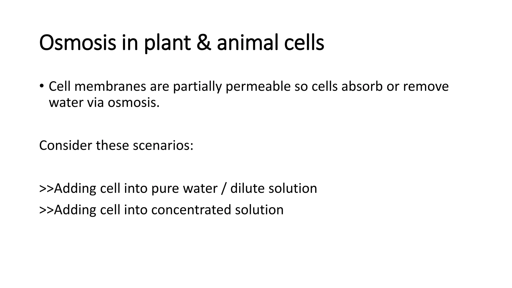 Osmosis in plant & animal cells
• Cell membranes are partially permeable so cells absorb or remove
water via osmosis.
Consider these scenarios:
>>Adding cell into pure water / dilute solution
>>Adding cell into concentrated solution
 