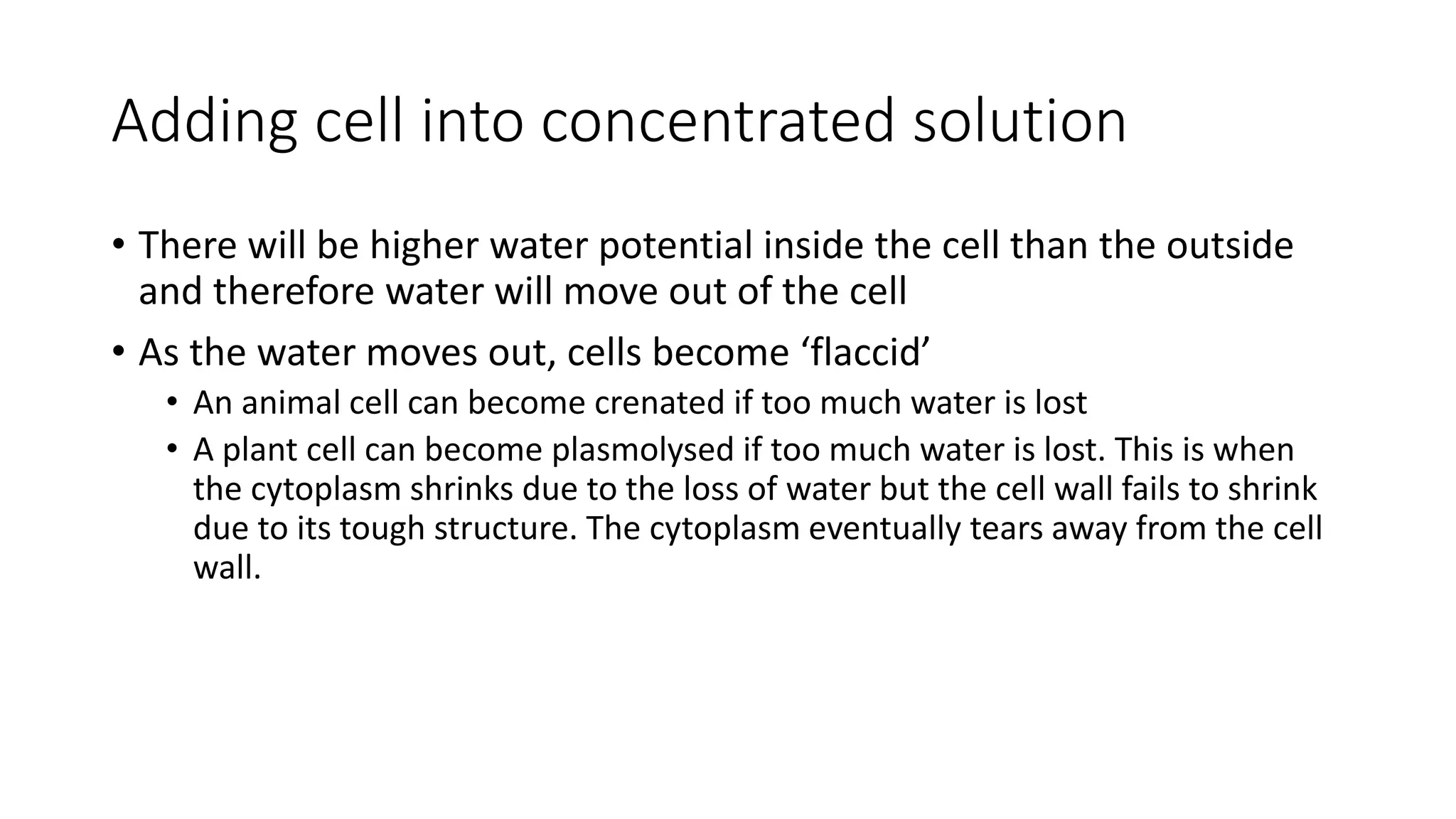 Adding cell into concentrated solution
• There will be higher water potential inside the cell than the outside
and therefore water will move out of the cell
• As the water moves out, cells become ‘flaccid’
• An animal cell can become crenated if too much water is lost
• A plant cell can become plasmolysed if too much water is lost. This is when
the cytoplasm shrinks due to the loss of water but the cell wall fails to shrink
due to its tough structure. The cytoplasm eventually tears away from the cell
wall.
 