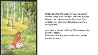Нисам се плашила када сам ишла шумском
стазом, јер су оног злог вука однели у зоо-врт.
Видела сам прелепо цвеће, баш ће се бака
обрадовати, помислих. Убрала сам цвеће и
помирисала.
Али, тада је настао проблем! Помирисала сам
цвеће заборава!
Више нисам могла да пронађем пут, да бих
изашла из шуме.
 