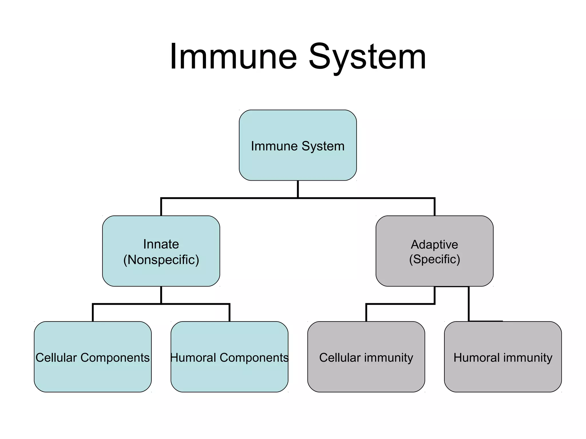 Immune System
Immune System
Innate
(Nonspecific)
Adaptive
(Specific)
Cellular Components Humoral Components Cellular immunity Humoral immunity
 