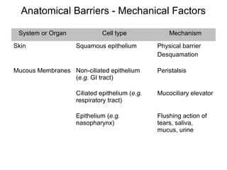 Inate immunity | PPT