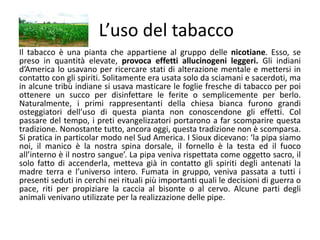 Il tabacco è una pianta che appartiene al gruppo delle nicotiane. Esso, se
preso in quantità elevate, provoca effetti allucinogeni leggeri. Gli indiani
d’America lo usavano per ricercare stati di alterazione mentale e mettersi in
contatto con gli spiriti. Solitamente era usata solo da sciamani e sacerdoti, ma
in alcune tribù indiane si usava masticare le foglie fresche di tabacco per poi
ottenere un succo per disinfettare le ferite o semplicemente per berlo.
Naturalmente, i primi rappresentanti della chiesa bianca furono grandi
osteggiatori dell’uso di questa pianta non conoscendone gli effetti. Col
passare del tempo, i preti evangelizzatori portarono a far scomparire questa
tradizione. Nonostante tutto, ancora oggi, questa tradizione non è scomparsa.
Si pratica in particolar modo nel Sud America. I Sioux dicevano: ‘la pipa siamo
noi, il manico è la nostra spina dorsale, il fornello è la testa ed il fuoco
all’interno è il nostro sangue’. La pipa veniva rispettata come oggetto sacro, il
solo fatto di accenderla, metteva già in contatto gli spiriti degli antenati la
madre terra e l’universo intero. Fumata in gruppo, veniva passata a tutti i
presenti seduti in cerchi nei rituali più importanti quali le decisioni di guerra o
pace, riti per propiziare la caccia al bisonte o al cervo. Alcune parti degli
animali venivano utilizzate per la realizzazione delle pipe.
L’uso del tabacco
 