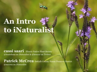 An Intro
to iNaturalist
cassi saari Illinois Native Plant Society
@bouteloua on iNaturalist & @boucur on Twitter
Patrick McCrea DeKalb County Forest Preserve District
@mccrea on iNaturalist
 