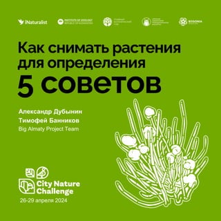 Александр Дубынин
Тимофей Банников
Big Almaty Project Team
Как снимать растения
для определения
5 советов
26-29 апреля 2024
 