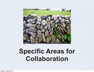 Specific Areas for
                           Collaboration
Monday, 3 January 2011
 
