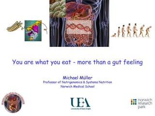 You are what you eat - more than a gut feeling 
Michael Müller 
Professor of Nutrigenomics & Systems Nutrition 
Norwich Medical School 
 