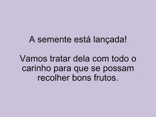 A semente está lançada! Vamos tratar dela com todo o carinho para que se possam recolher bons frutos. 