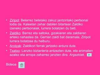 Ziripot : Belarrez betetako zakuz jantzintako pertsonai lodia da. Kaleetan zehar dabilen bitartean Zaldiko izeneko pertsonaiak, lurrera botatzen du beti.   Zaldiko : Barrez eta saltoka, gizakiaren eta zaldiaren arteko nahastea da. Gerrian zaldi bat daramala, Ziripot lurrera botatzea du helburu.  Arotzak : Zaldikori ferrak jartzeko ardura dute. Txatxo : Lanzko biztanleria antzezten dute, eta animalien azalez eta arropa zaharrez janzten dira.  Argazkiak. Bideoa   