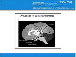 Esta concepción integradora de network, lleva a producir una cosmovisión diferenciable con el pensamiento causalista unicista, de tipo causa-efecto lineal, para remarcar que las modificaciones se producen  sobre esta red , y que de sus interacciones recíprocas surge la respuesta adaptativa. 