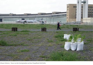 Urbanes Gärtnern - Neues von den Gartenprojekten auf dem Tempelhofer Feld, Berlin
 