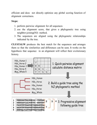 multiple sequence alignment | DOCX
