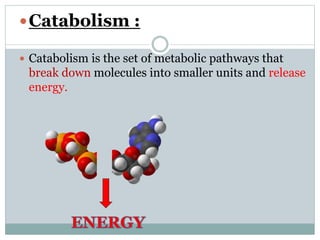 Catabolism :
 Catabolism is the set of metabolic pathways that
break down molecules into smaller units and release
energy.
 