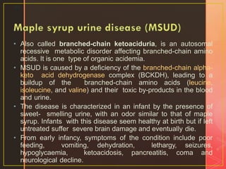 • Also called branched-chain ketoaciduria, is an autosomal
recessive metabolic disorder affecting branched-chain amino
acids. It is one type of organic acidemia.
• MSUD is caused by a deficiency of the branched-chain alpha-
keto acid dehydrogenase complex (BCKDH), leading to a
buildup of the branched-chain amino acids (leucine,
isoleucine, and valine) and their toxic by-products in the blood
and urine.
• The disease is characterized in an infant by the presence of
sweet- smelling urine, with an odor similar to that of maple
syrup. Infants with this disease seem healthy at birth but if left
untreated suffer severe brain damage and eventually die.
• From early infancy, symptoms of the condition include poor
feeding, vomiting, dehydration, lethargy, seizures,
hypoglycaemia, ketoacidosis, pancreatitis, coma and
neurological decline.
27
 
