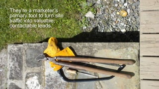 They’re a marketer’s
primary tool to turn site
traffic into valuable,
contactable leads.
 