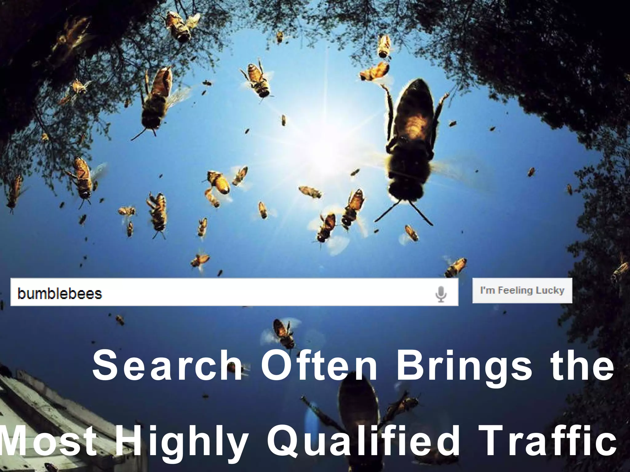 Search Often Brings the Most Highly Qualified Traffic 