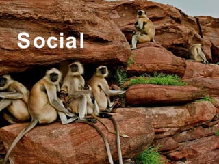 Social 