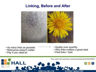 Linking, Before and After As many links as possible Relevance doesn't matter Pay if you need to! Quality over quantity Who links matters a great deal Paid links = bad Photo credit: http://www.flickr.com/photos/baylorbear78/3345338501/ 