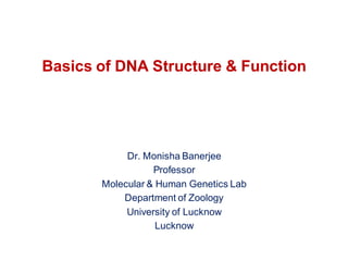 Basics of DNA Structure & Function
Dr. Monisha Banerjee
Professor
Molecular & Human Genetics Lab
Department of Zoology
University of Lucknow
Lucknow
 