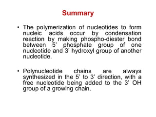 • The polymerization of nucleotides to form
nucleic acids occur by condensation
reaction by making phospho-diester bond
between 5’ phosphate group of one
nucleotide and 3’ hydroxyl group of another
nucleotide.
• Polynucleotide chains are always
synthesized in the 5’ to 3’ direction, with a
free nucleotide being added to the 3’ OH
group of a growing chain.
Summary
 