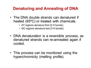 Denaturing and Annealing of DNA
• The DNA double strands can denatured if
heated (95ºC) or treated with chemicals.
• AT regions denature first (2 H bonds)
• GC regions denature last (3 H bonds)
• DNA denaturation is a reversible process, as
denatured strands can re-annealed again if
cooled.
• This process can be monitored using the
hyperchromicity (melting profile).
 
