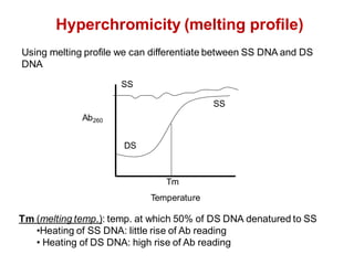 Hyperchromicity (melting profile)
DS
SS
SS
Ab260
Tm
Temperature
Tm (melting temp.): temp. at which 50% of DS DNA denatured to SS
•Heating of SS DNA: little rise of Ab reading
• Heating of DS DNA: high rise of Ab reading
Using melting profile we can differentiate between SS DNA and DS
DNA
 