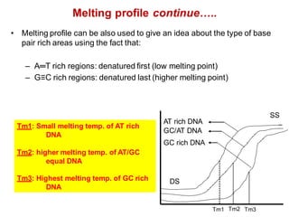 Melting profile continue…..
• Melting profile can be also used to give an idea about the type of base
pair rich areas using the fact that:
– A═T rich regions: denatured first (low melting point)
– G≡C rich regions: denatured last (higher melting point)
DS
SS
GC rich DNA
AT rich DNA
GC/AT DNA
Tm1 Tm2 Tm3
Tm1: Small melting temp. of AT rich
DNA
Tm2: higher melting temp. of AT/GC
equal DNA
Tm3: Highest melting temp. of GC rich
DNA
 