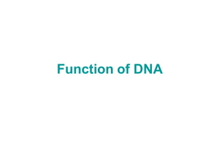 Function of DNA
 