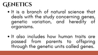 It is a branch of natural science that
deals with the study concerning genes,
genetic variation, and heredity of
organisms.
It also includes how human traits are
passed from parents to offspring
through the genetic units called genes.
Genetics
 