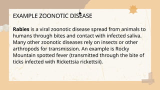 Rabies Insect Science 13 Microbiology And parasitology (Infectious and infection) | PPTX
