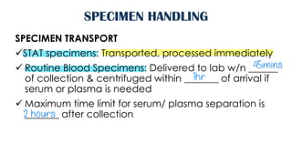 Separate Stat From Routine Test Comprehensive Guide to Specimen Handling and Blood Sample Processing in ...