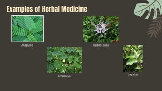 Akapulko
Ampalaya
Balbas-pusa
bayabas
Examples of Herbal Medicine
 