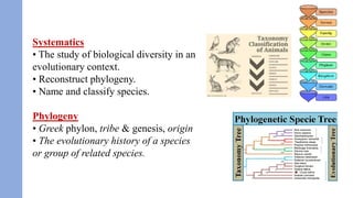 Biological classifications of organisms/ BS BIOLOGY | PDF