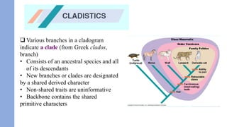 Biological classifications of organisms/ BS BIOLOGY | PDF