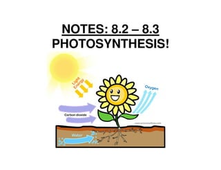 NOTES: 8.2 – 8.3
PHOTOSYNTHESIS!
 