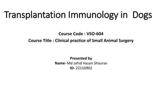 Transplantation Immunology in Dogs
Course Code : VSO-604
Course Title : Clinical practice of Small Animal Surgery
Presented by
Name- Md Jahid Hasan Shourav
ID- 22110902
 
