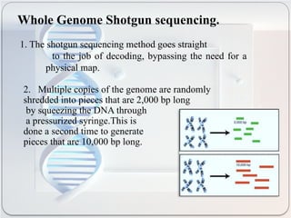 Comprehensive Overview of Whole Genome Sequencing and Its Modern ...