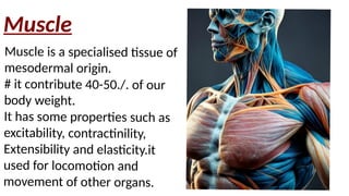 Comprehensive Overview of Muscle Types and Contraction Mechanisms in ...