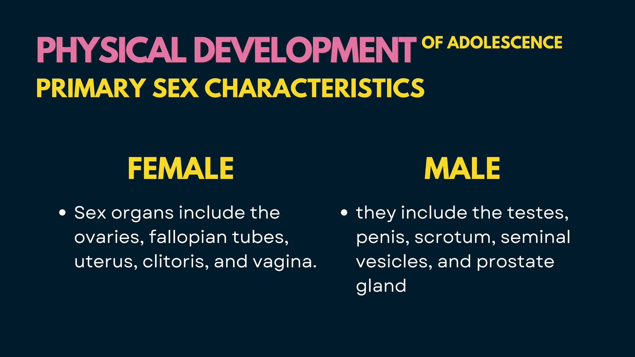 FEMALE
Sex organs include the
ovaries, fallopian tubes,
uterus, clitoris, and vagina.
PHYSICAL DEVELOPMENT
PHYSICAL DEVELOPMENT OF ADOLESCENCE
PRIMARY SEX CHARACTERISTICS
MALE
they include the testes,
penis, scrotum, seminal
vesicles, and prostate
gland
 