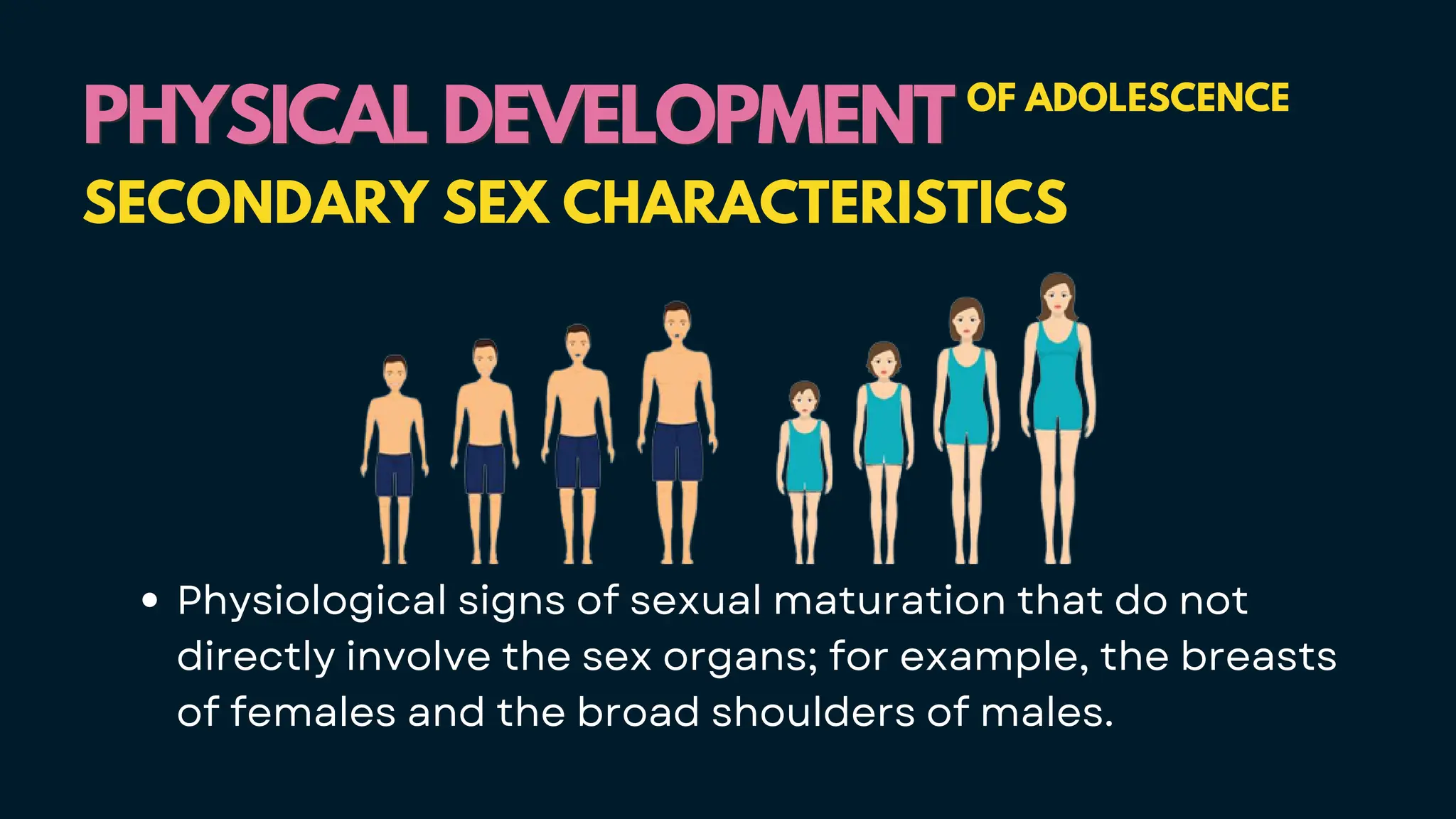 Physiological signs of sexual maturation that do not
directly involve the sex organs; for example, the breasts
of females and the broad shoulders of males.
PHYSICAL DEVELOPMENT
PHYSICAL DEVELOPMENT OF ADOLESCENCE
SECONDARY SEX CHARACTERISTICS
 