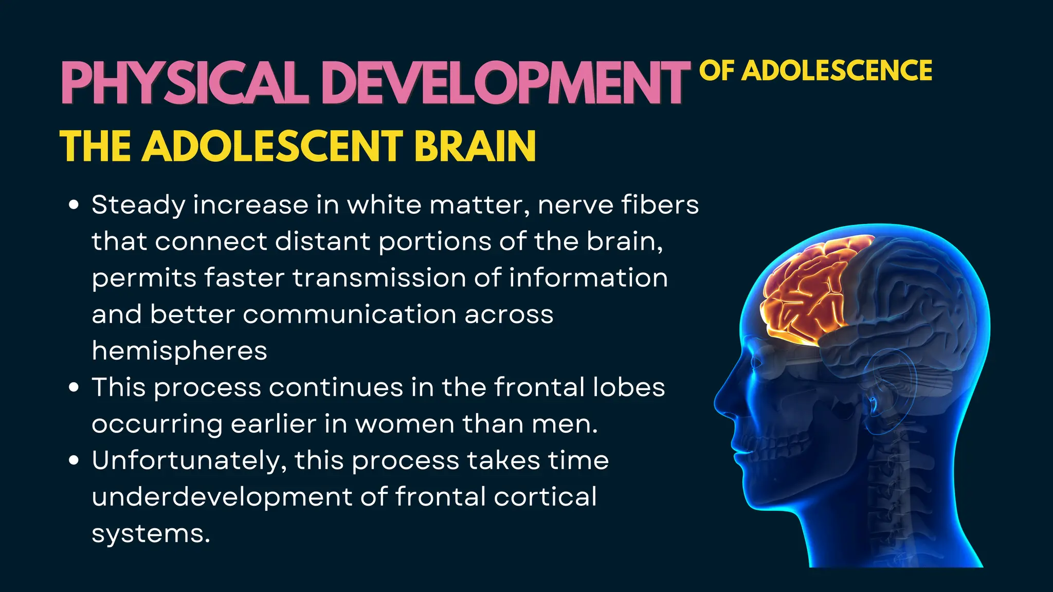 Steady increase in white matter, nerve fibers
that connect distant portions of the brain,
permits faster transmission of information
and better communication across
hemispheres
This process continues in the frontal lobes
occurring earlier in women than men.
Unfortunately, this process takes time
underdevelopment of frontal cortical
systems.
PHYSICAL DEVELOPMENT
PHYSICAL DEVELOPMENT OF ADOLESCENCE
THE ADOLESCENT BRAIN
 