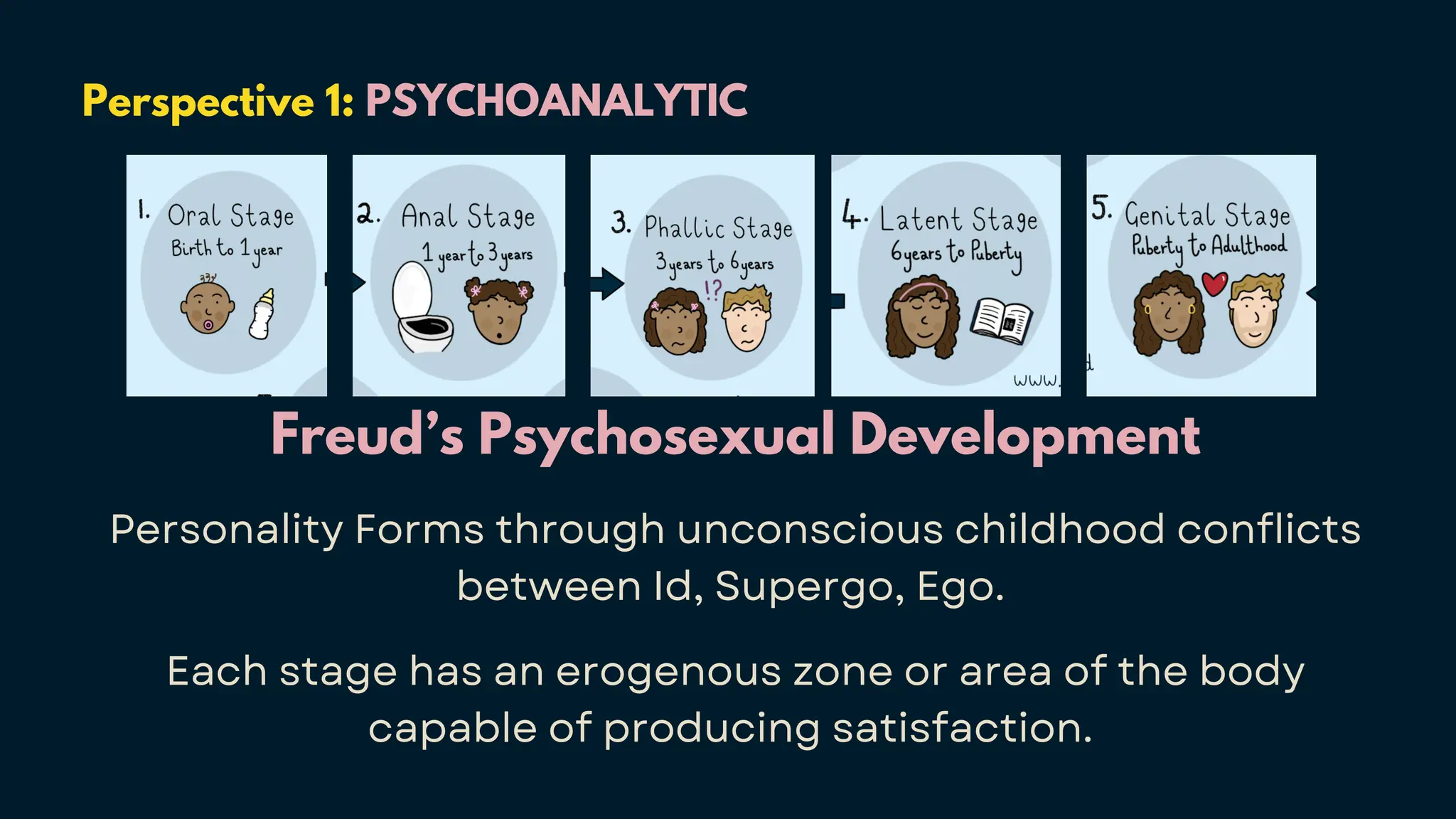 Perspective 1: PSYCHOANALYTIC
Freud’s Psychosexual Development
Personality Forms through unconscious childhood conflicts
between Id, Supergo, Ego.
Each stage has an erogenous zone or area of the body
capable of producing satisfaction.
 