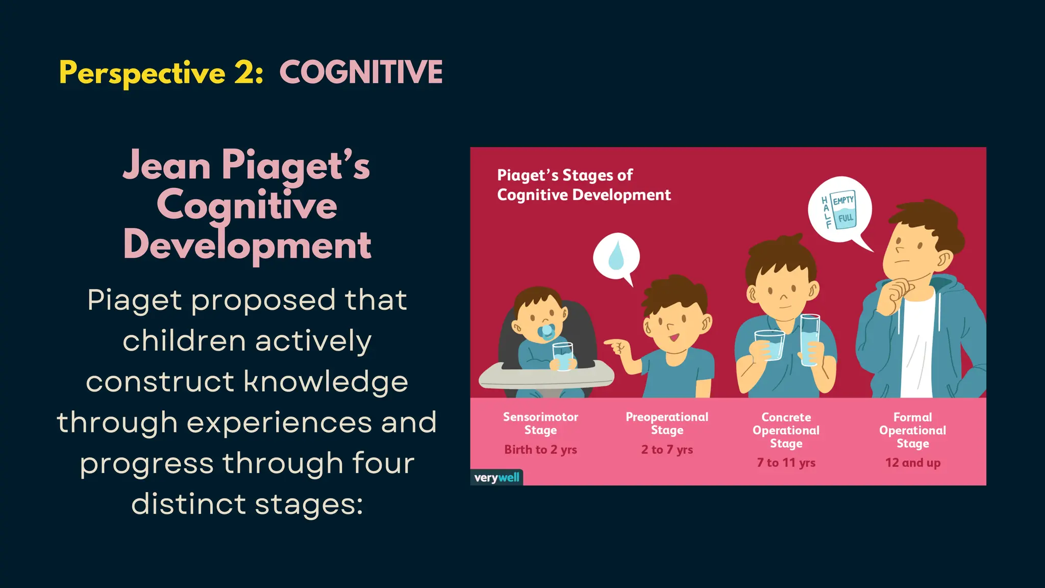 Perspective 2: COGNITIVE
Jean Piaget’s
Cognitive
Development
Piaget proposed that
children actively
construct knowledge
through experiences and
progress through four
distinct stages:
 