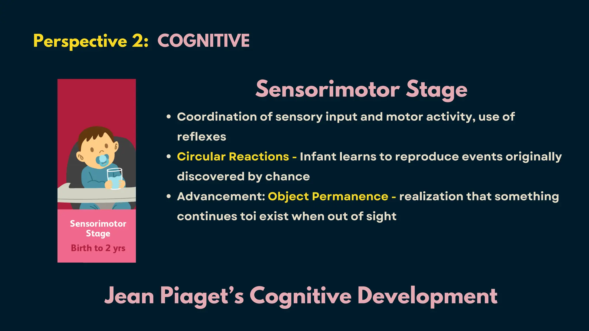 Perspective 2: COGNITIVE
Jean Piaget’s Cognitive Development
Sensorimotor Stage
Coordination of sensory input and motor activity, use of
reflexes
Circular Reactions - Infant learns to reproduce events originally
discovered by chance
Advancement: Object Permanence - realization that something
continues toi exist when out of sight
 
