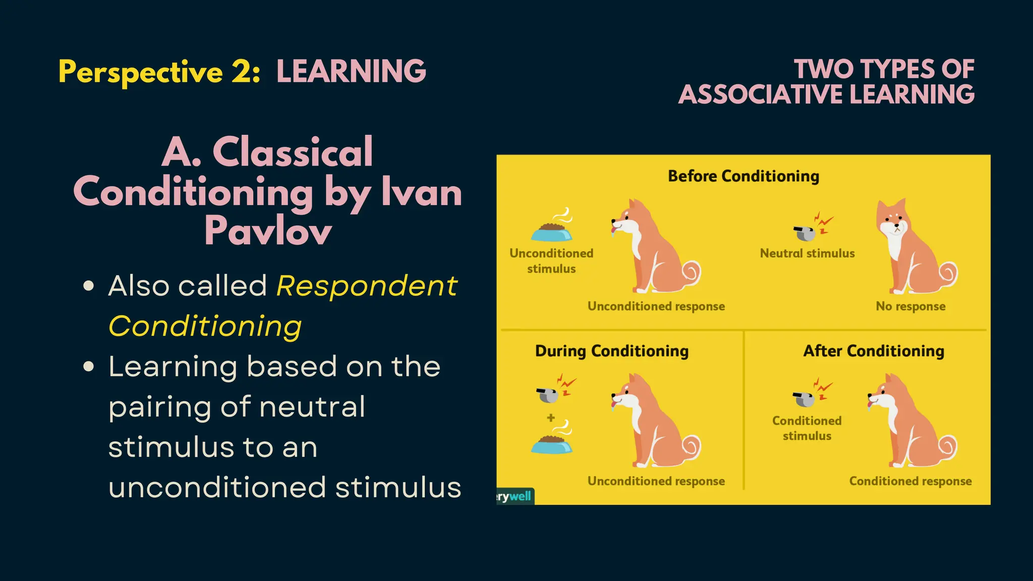 TWO TYPES OF
ASSOCIATIVE LEARNING
Perspective 2: LEARNING
A. Classical
Conditioning by Ivan
Pavlov
Also called Respondent
Conditioning
Learning based on the
pairing of neutral
stimulus to an
unconditioned stimulus
 
