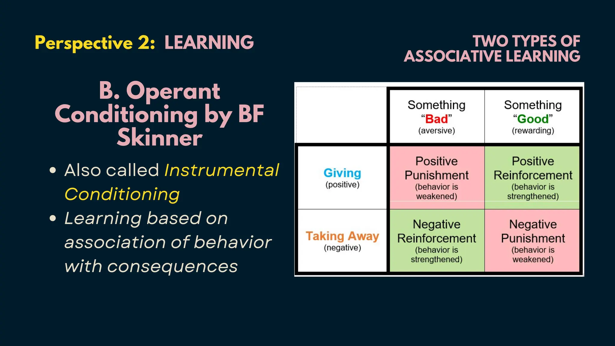 TWO TYPES OF
ASSOCIATIVE LEARNING
Perspective 2: LEARNING
B. Operant
Conditioning by BF
Skinner
Also called Instrumental
Conditioning
Learning based on
association of behavior
with consequences
 