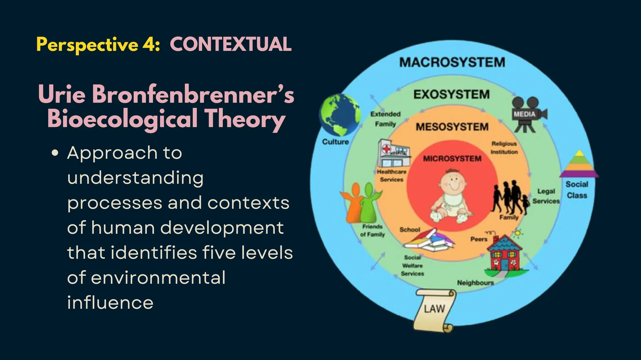 Perspective 4: CONTEXTUAL
Urie Bronfenbrenner’s
Bioecological Theory
Approach to
understanding
processes and contexts
of human development
that identifies five levels
of environmental
influence
 