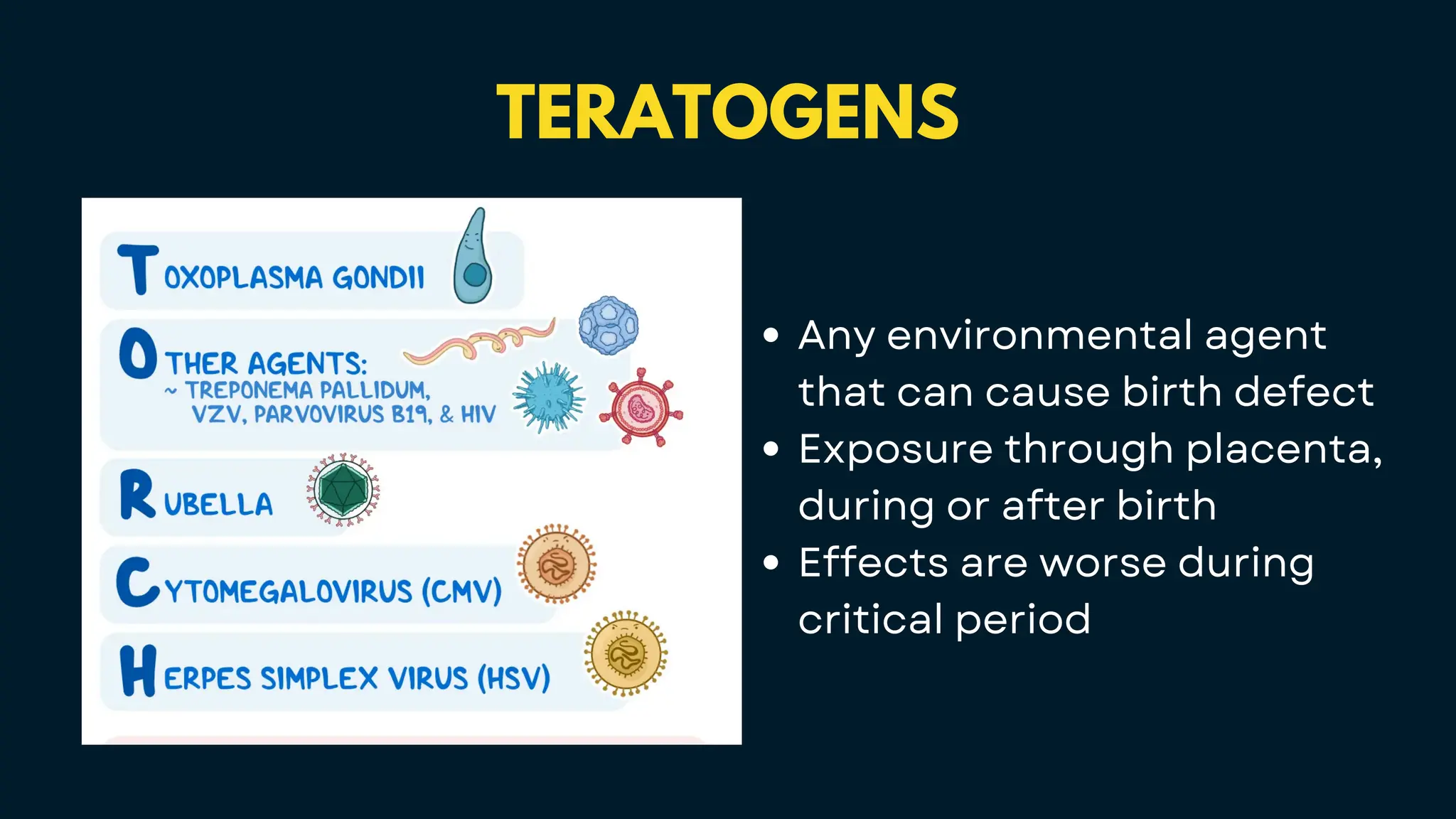 TERATOGENS
Any environmental agent
that can cause birth defect
Exposure through placenta,
during or after birth
Effects are worse during
critical period
 