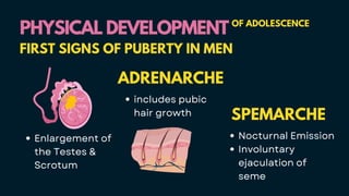 Enlargement of
the Testes &
Scrotum
ADRENARCHE
includes pubic
hair growth
PHYSICAL DEVELOPMENT
PHYSICAL DEVELOPMENT OF ADOLESCENCE
FIRST SIGNS OF PUBERTY IN MEN
SPEMARCHE
Nocturnal Emission
Involuntary
ejaculation of
seme
 