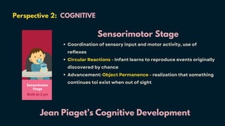 Perspective 2: COGNITIVE
Jean Piaget’s Cognitive Development
Sensorimotor Stage
Coordination of sensory input and motor activity, use of
reflexes
Circular Reactions - Infant learns to reproduce events originally
discovered by chance
Advancement: Object Permanence - realization that something
continues toi exist when out of sight
 